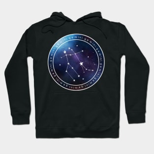 Gemini Hoodie